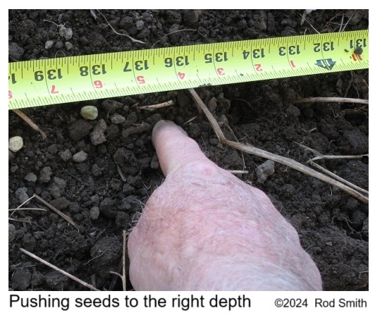 Planting seeds
