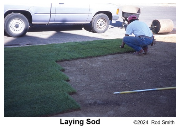 Laying Sod