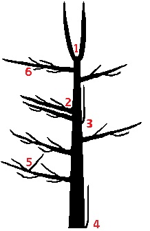 Tree structure